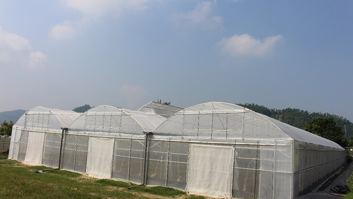 簡易溫室(無基礎型式)