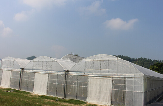 簡易溫室(無基礎型式)