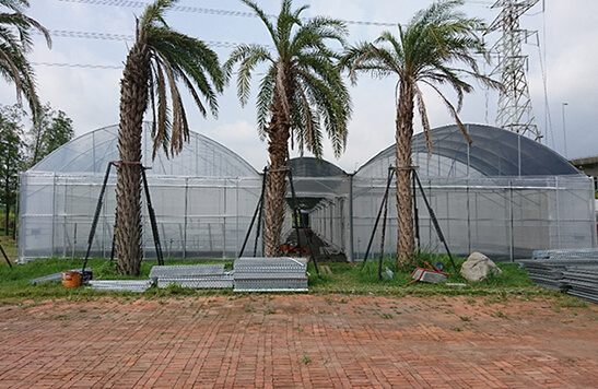 簡易溫室(無基礎型式)