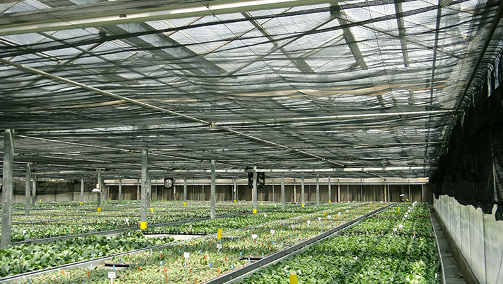 基礎/地坪工程介紹
